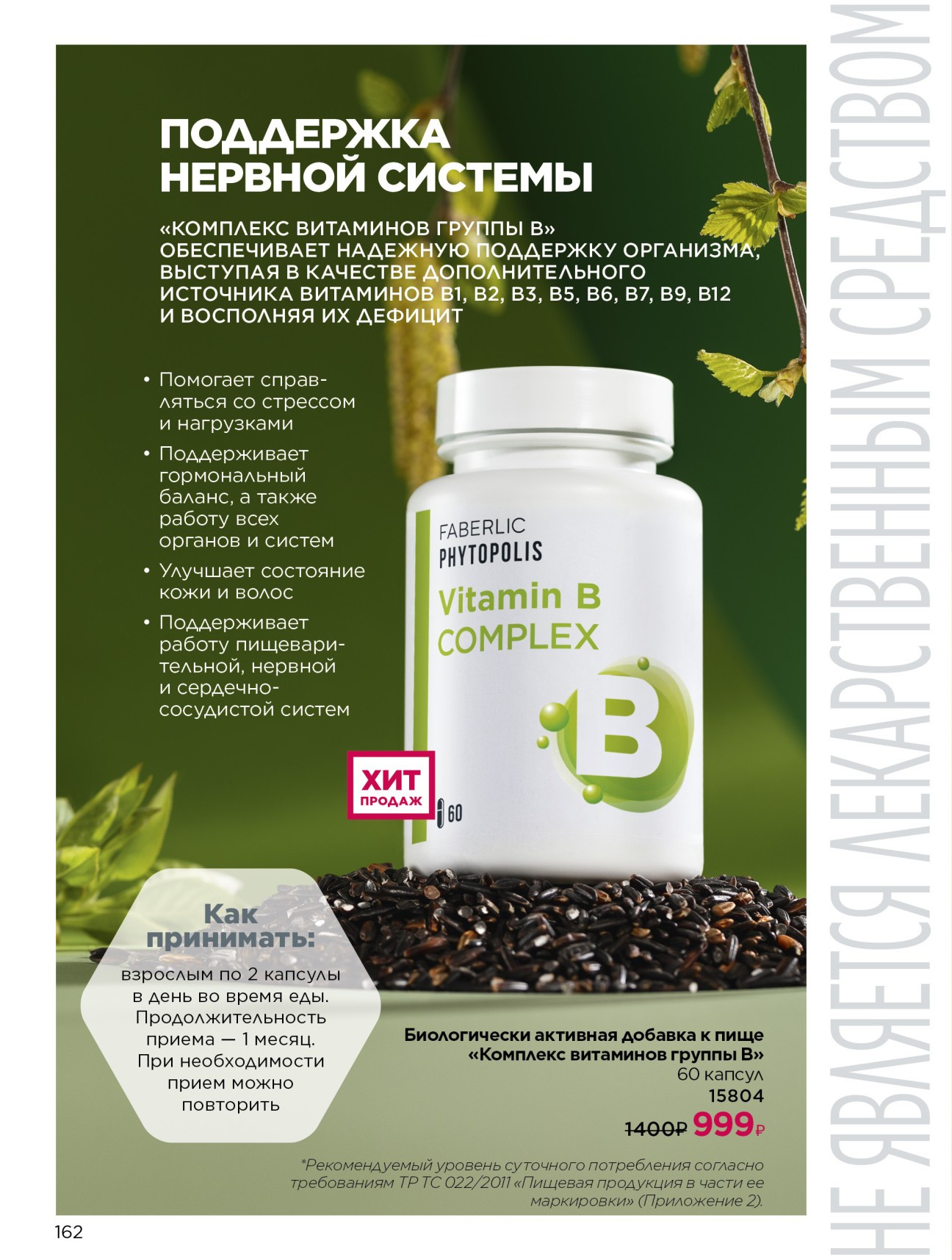 cat-zoom-162